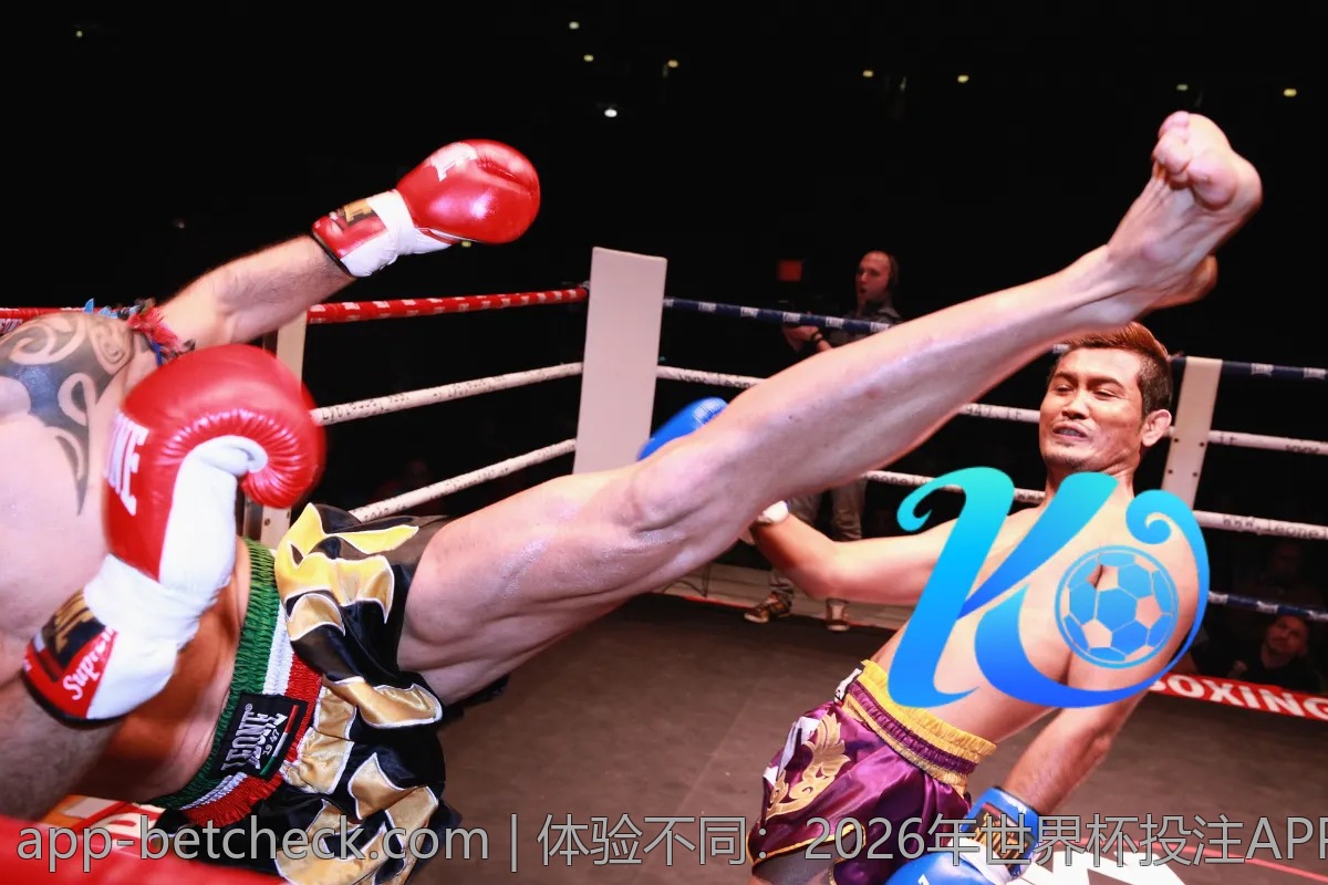 体验不同：2026年世界杯投注APP使用对比