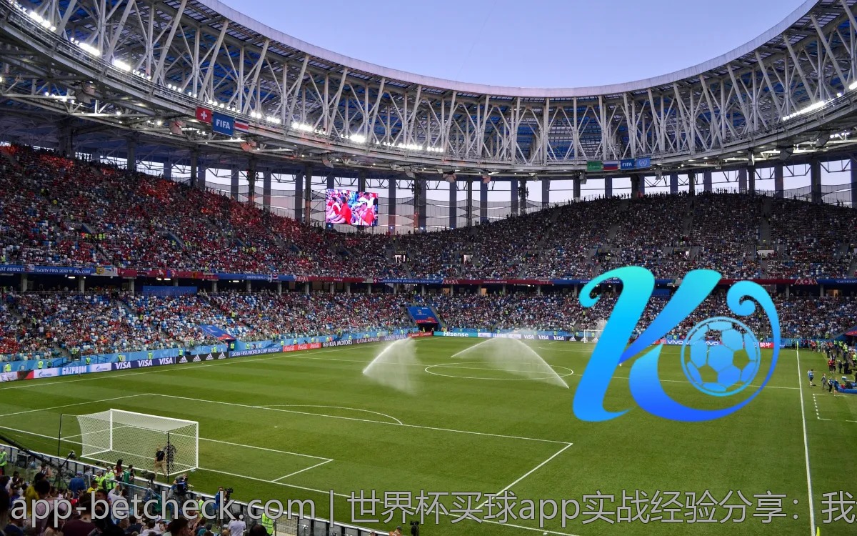 世界杯买球app实战经验分享：我选对了吗？