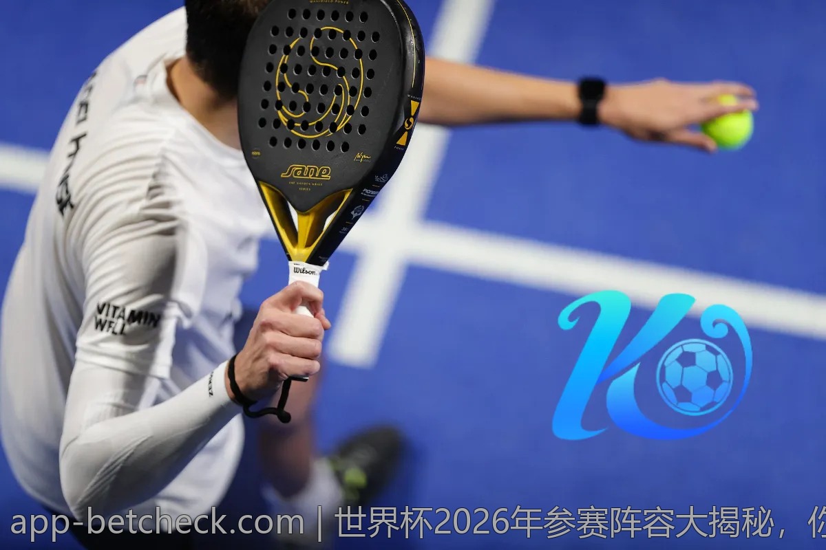 世界杯2026年参赛阵容大揭秘，你支持的球队能否晋级？