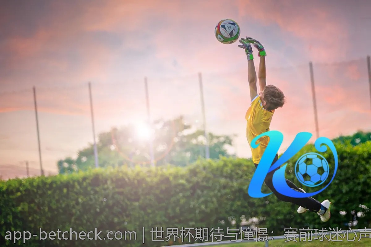 世界杯期待与憧憬：赛前球迷心声大曝光