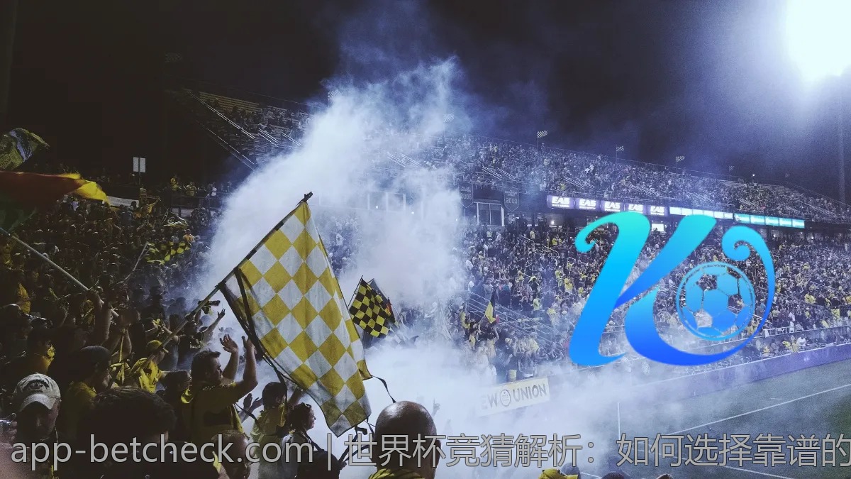 世界杯竞猜解析：如何选择靠谱的平台和参与方式
