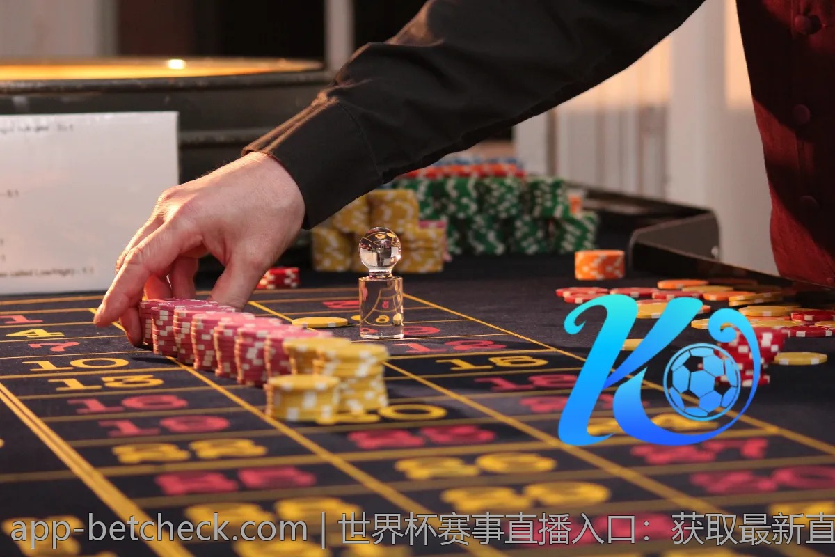 世界杯赛事直播入口：获取最新直播信息与频道推荐